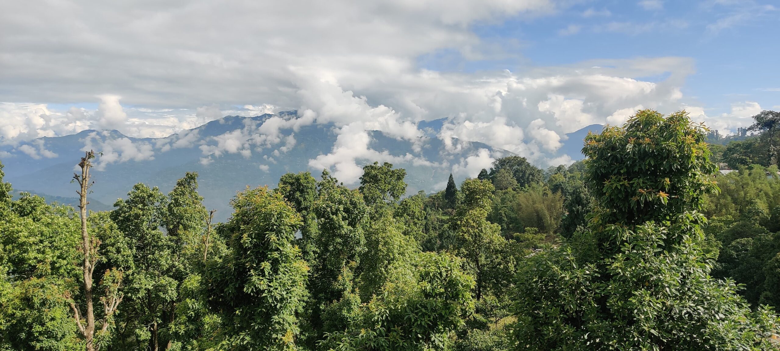 IMG-20250527-WA0035