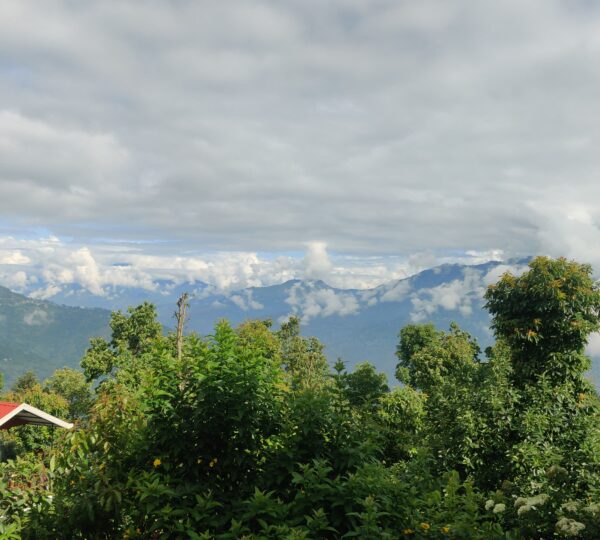 IMG-20250527-WA0034