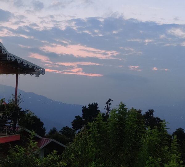 IMG-20250609-WA0010